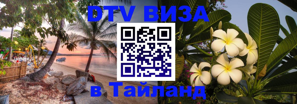 Оформление DTV визы под ключ: стоимость и тарифы, только загранпаспорт - Арзамас 